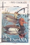 Stamps Spain -  Pato Colorado           (Ñ)