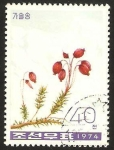 Stamps North Korea -   Flor