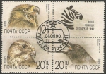 Sellos de Europa - Rusia -  5742 a 5744 - Aves de la Unión sovietica