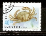 Stamps Bulgaria -  CARCINUS  MEDITERRANEUS