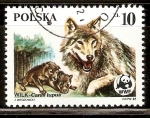 Stamps Poland -  CANIS  LUPUS