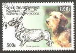 Stamps Cambodia -  Perro de raza