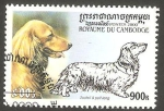 Sellos de Asia - Camboya -  Perro de raza