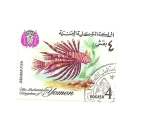 Stamps Yemen -  fauna PECES  Dragon Fish