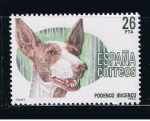 Sellos de Europa - Espa�a -  Edifil  2713  Perros de raza españoles.  
