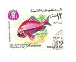 Stamps Yemen -  fauna PECES