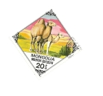 Stamps : Asia : Mongolia :  Fauna  CAMELLO