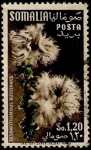Stamps Africa - Somalia -  Flores