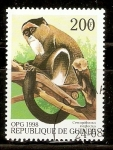 Stamps : Africa : Guinea :  CERCOPITHECUS  NEGLECTUS