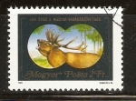 Stamps Hungary -  CIERVO