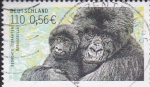 Stamps Germany -  gorilas