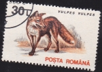 Stamps Romania -  zorro rojo