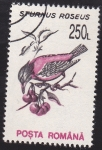 Stamps Romania -  estornino rosado