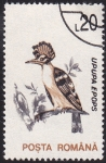 Stamps Romania -  abubilla