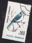 Stamps Romania -  herrerillo