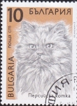 Sellos de Europa - Rumania -  gato