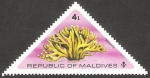 Stamps : Asia : Maldives :  536 - Fauna marina