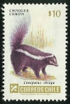 Stamps : America : Chile :  CHINGUE COMUN