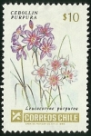 Stamps Chile -  CEBOLLIN PURPURA
