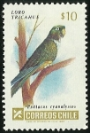Stamps Chile -  LORO TRICAHUE