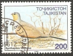 Stamps Asia - Tajikistan -  76 - Ave