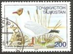 Stamps Asia - Tajikistan -  80 - Ave