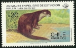 Stamps Chile -  HUILLIN - ANIMALES EN PELIGRO DE EXTINCION