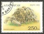Stamps : Asia : Azerbaijan :   Tortuga