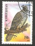 Stamps Asia - Kyrgyzstan -  Ave rapaz