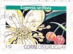 Sellos del Mundo : America : Uruguay : Eugenia Uniflora