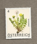Stamps Austria -  Diente de león