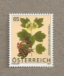 Stamps Austria -  Bola de nieve común