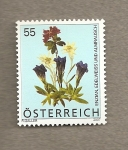 Stamps Austria -  Genziana y eldelweiss