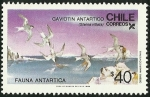Stamps Chile -  GAVIOTIN ANTARTICO - FAUNA ANTARTICA 