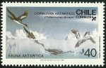 Stamps Chile -  CORMORAN ANTARTICO - FAUNA ANTARTICA 