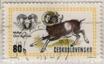 Sellos de Europa - Checoslovaquia -  130 Muflon