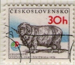 Stamps : Europe : Czechoslovakia :  167 Ganado