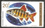Stamps Rwanda -   Pez 