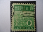 Stamps Cuba -  Cultivo de Tabaco- (Scott. 420)