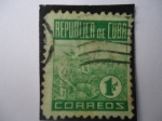 Stamps America - Cuba -  Cultivo de Tabaco- (Scott. 420)