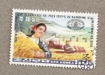 Stamps : Asia : North_Korea :  Cosecha de trigo