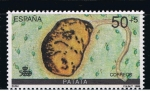 Stamps Spain -  Edifil  3033  V Cente. del Descubrimiento de América. Encuentro de los Mundos.  