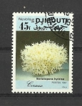 Stamps Djibouti -  Seriatopora