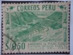 Stamps Peru -  Andenes de Pisac, Cusco-(Sistema incaico para cultivar el maiz)
