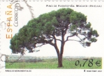 Stamps Spain -  Arboles Monumentales    (P)