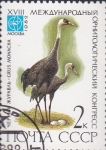 Stamps Russia -  grulla