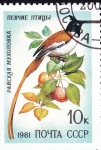 Stamps Russia -  ave del paraiso