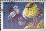 Stamps Russia -  ruffs