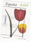Stamps Spain -  TULIPAN           (P)