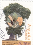 Stamps Spain -  Ficus de Hoja de Magnolia      (P)